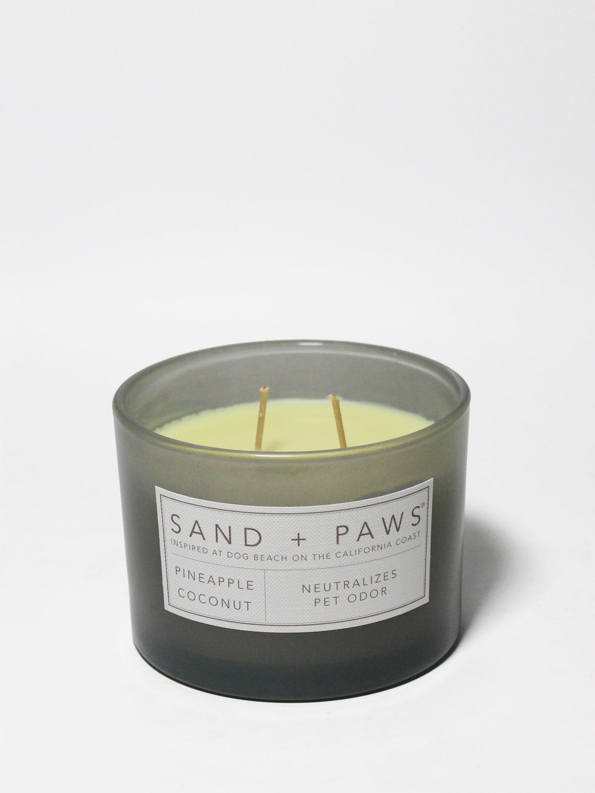 Sand + Paws Pineapple Coconut 12 oz scented candle
