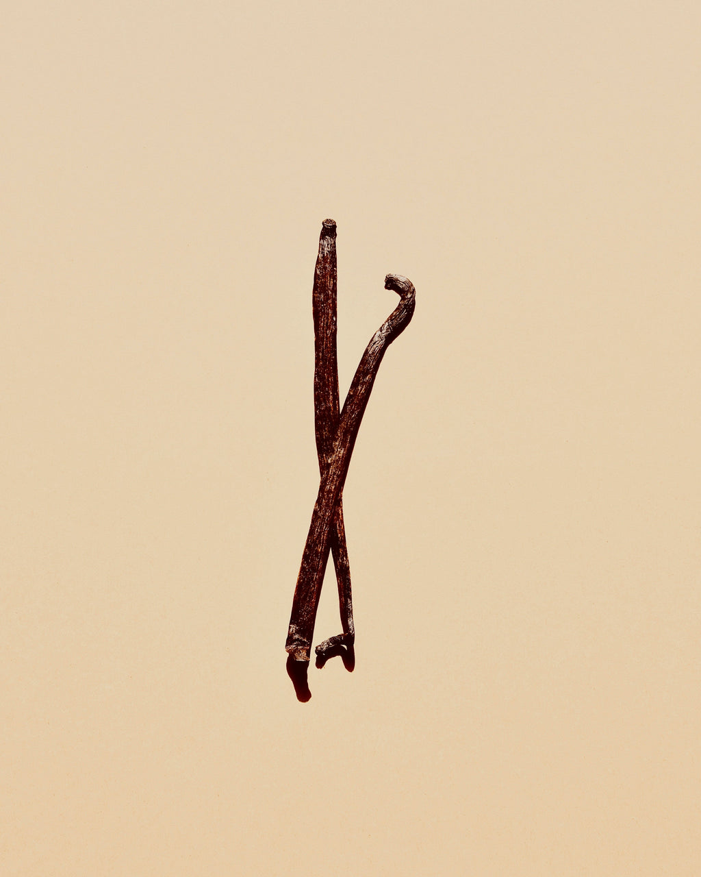Vanilla Musk 10.47 oz Liquid Hand Soap