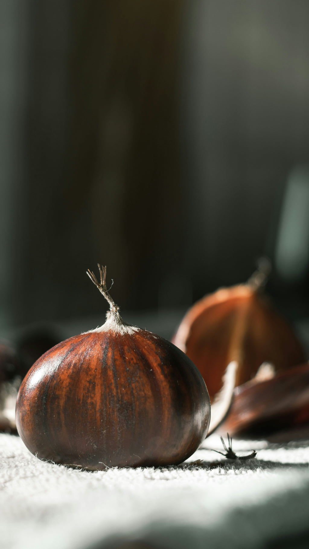 Roasted Chestnut 10 oz scented candle